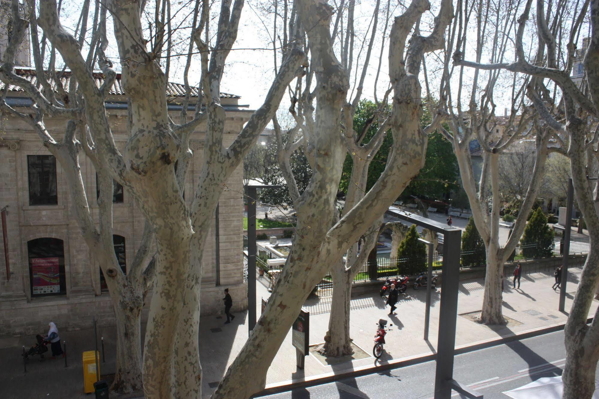 Hotel Alizea Avignon Eksteriør bilde